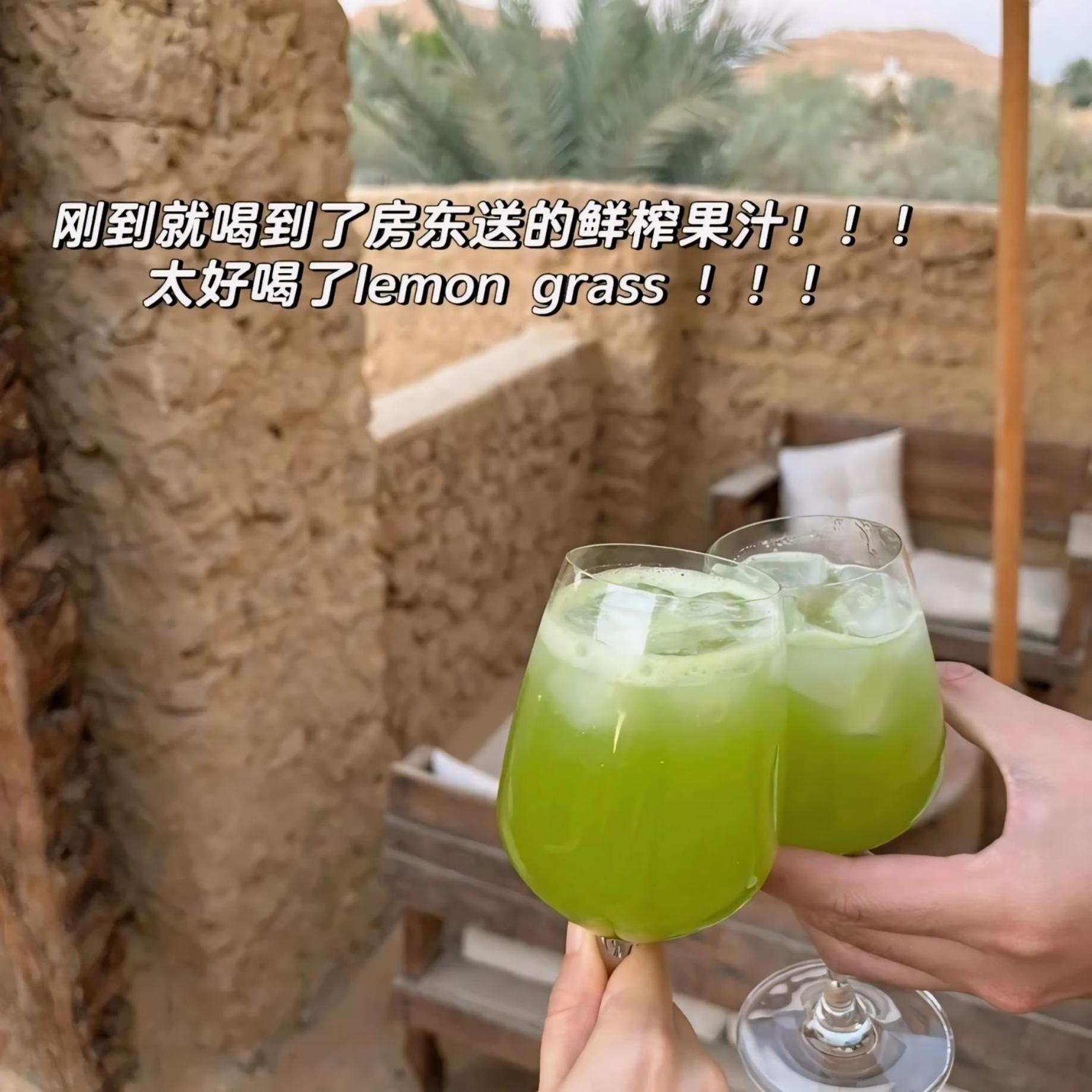 Tanirt Ecolodge シワ・オアシス エクステリア 写真